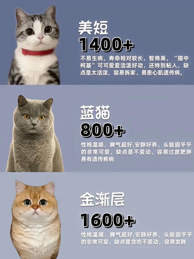 三、选型时的猫腻,多到你想不到