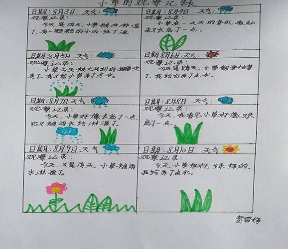 儿童自然观察群落种群手绘记录卡