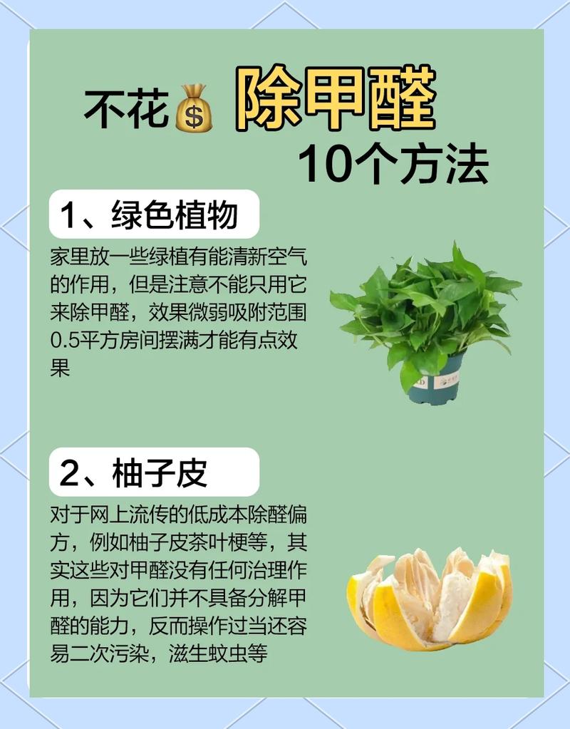 你奉为妙招的除醛土方法,可能半毛钱用都没有