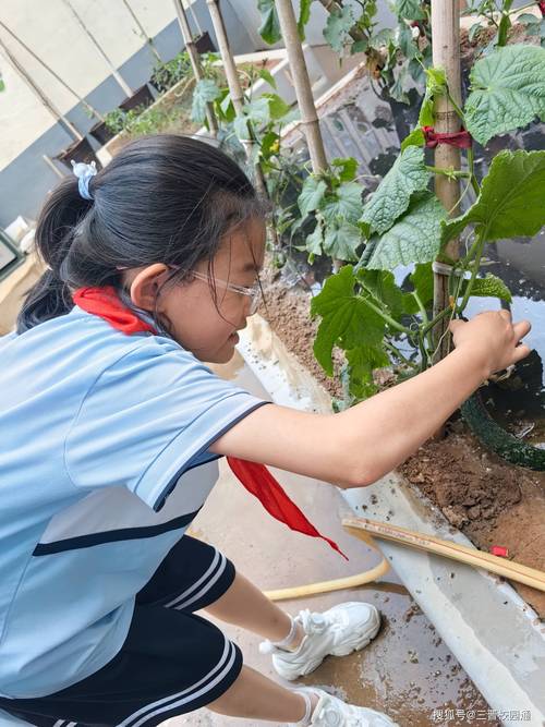 农村学校学生在田园劳动课上测量植物