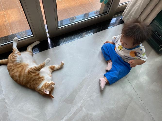 儿童和家橘猫同坐地毯玩耍图