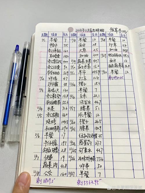 留学生整理每月账单手写笔记特写
