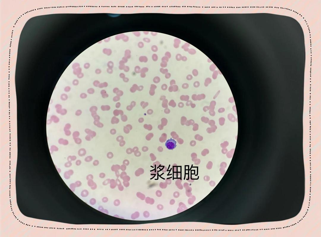 科研成果：从实验台到生活，中间隔着多少个坑？