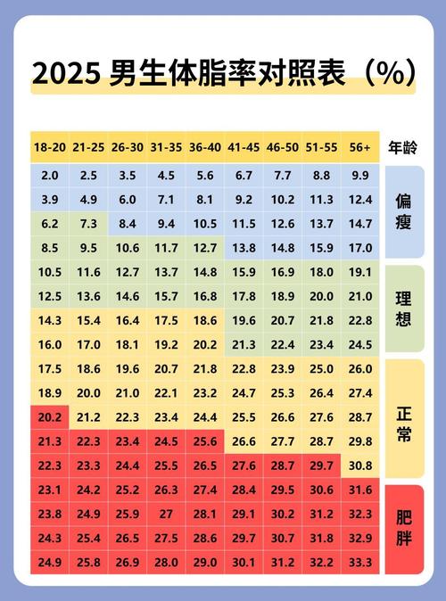 不同年龄段正常体脂范围参考表