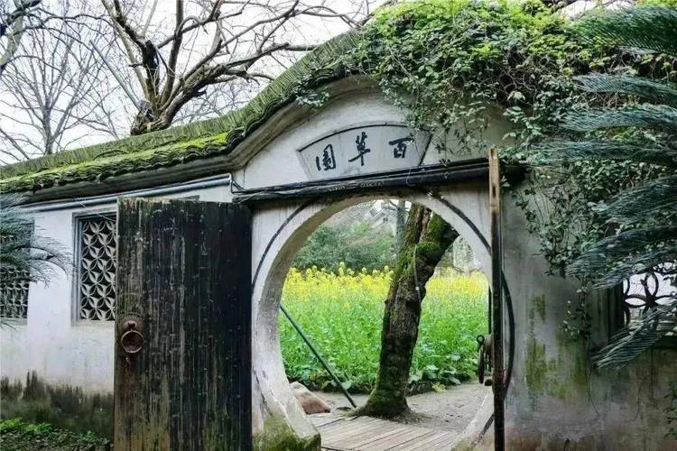浙江绍兴鲁迅故里百草园深秋实景