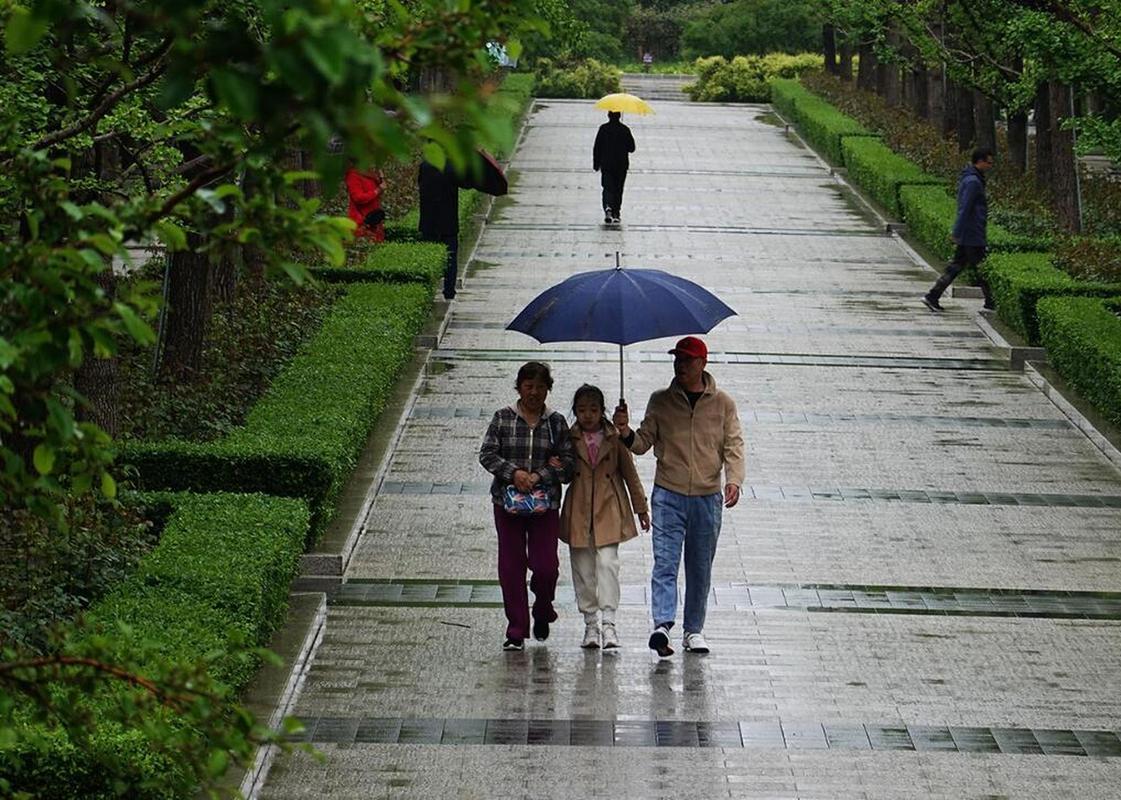雨后春季城市绿地散步人群