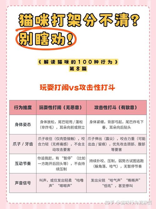 教你一秒判断能不能进场，别瞎等也别瞎冲