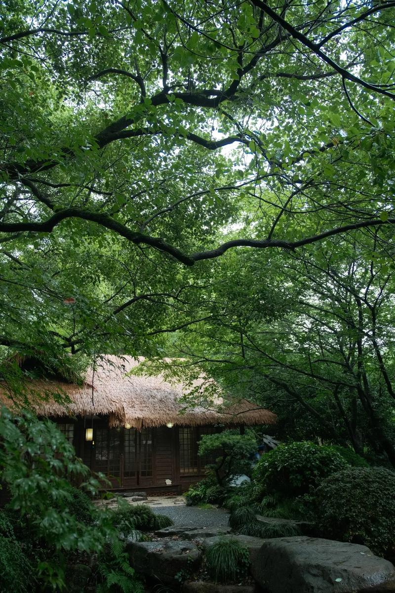 杜甫草堂茅屋雨景