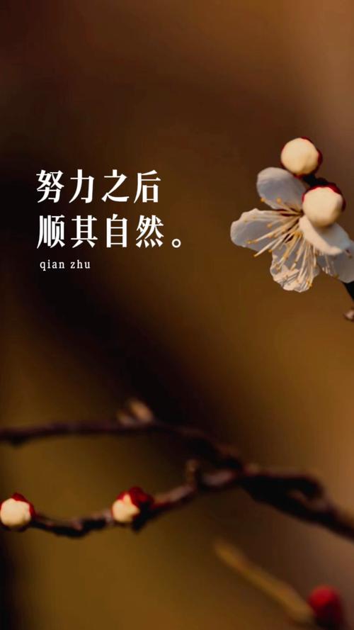 好技术，从来都是顺着自然来