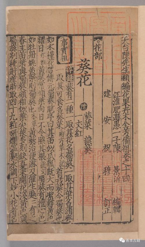 读花谱，看懂一朵花的“身份证”-因为所以