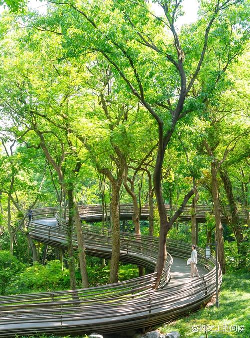 湖北南漳荆山原始森林林间步道