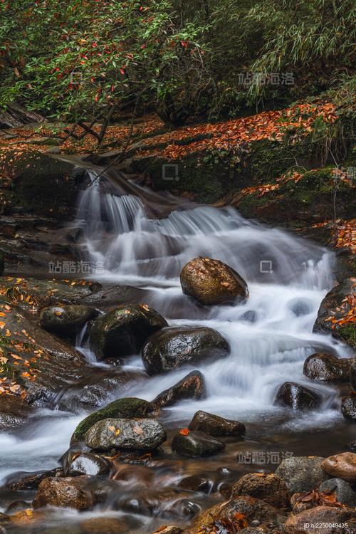 光雾山红叶溪流
