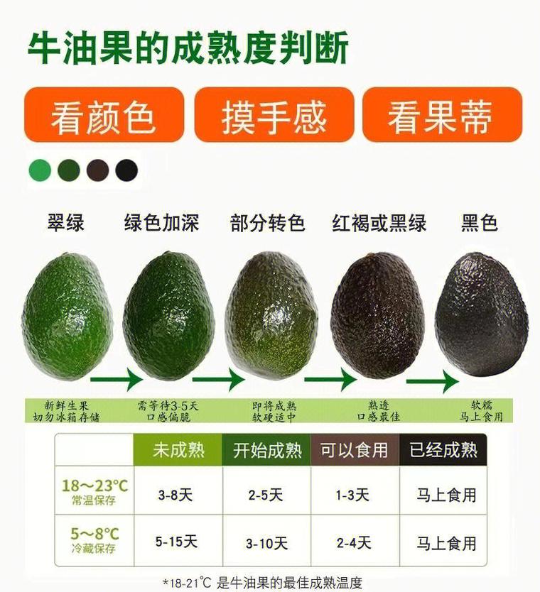 牛油果保鲜带核包覆方法