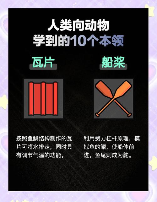 别太迷信生物启发，它也要看场合