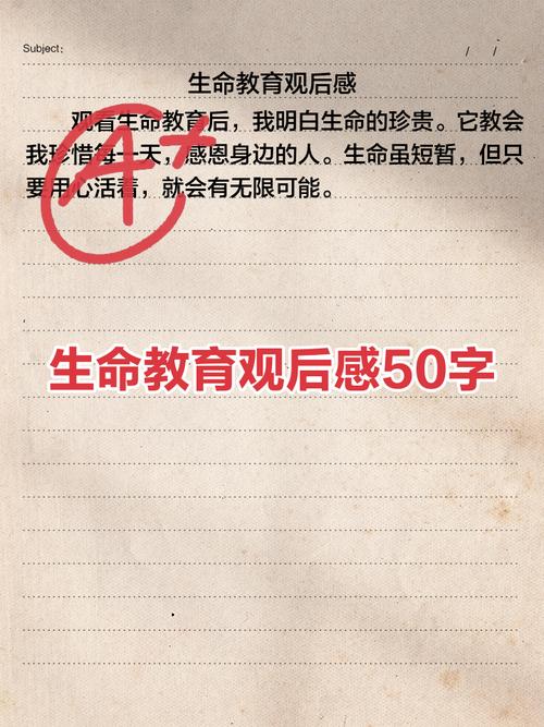 什么是真正的生命教育？不是讲大道理，而是让体验发生
