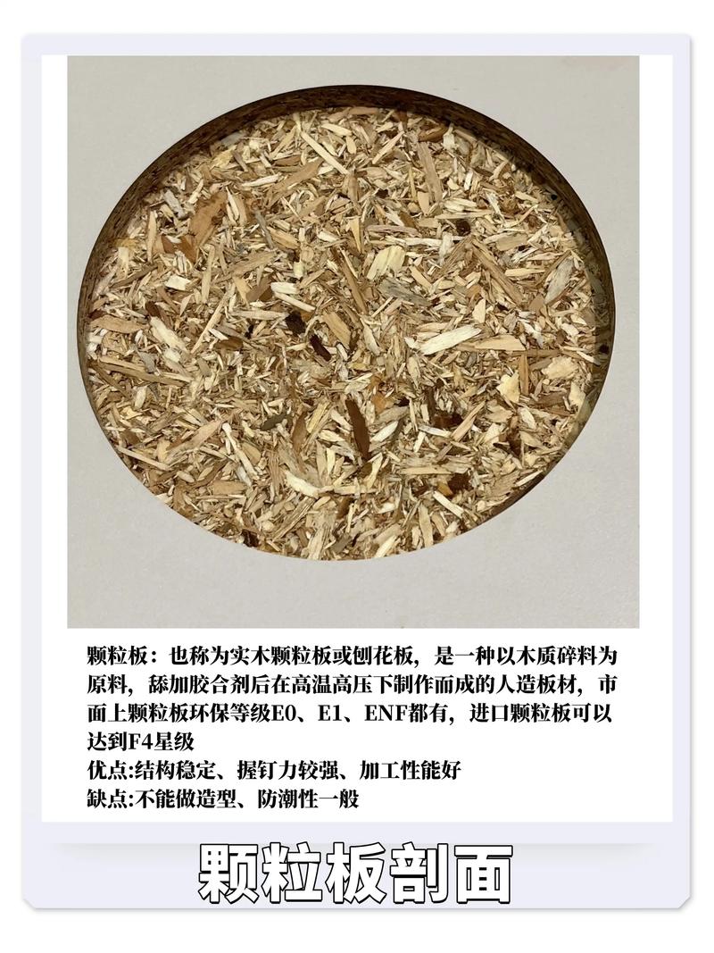 密度板横截面显微结构图展示木质纤维