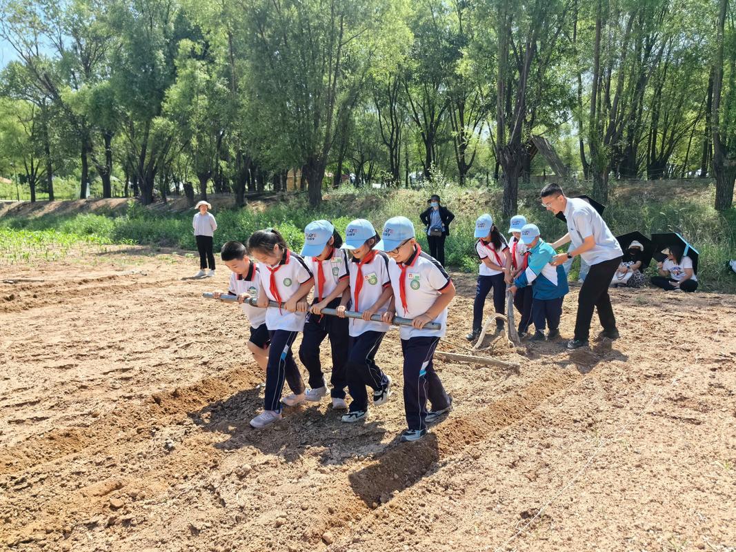 公立小学劳动教育研学活动带队场景