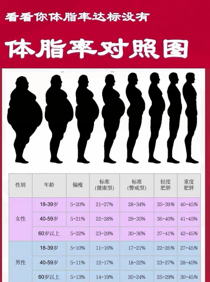 成年人健康体脂范围参考对照表