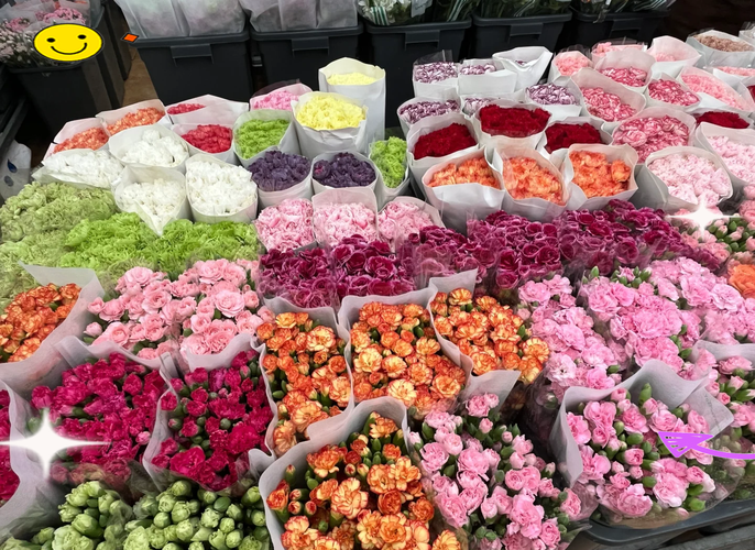 干花材料市场选购实拍图