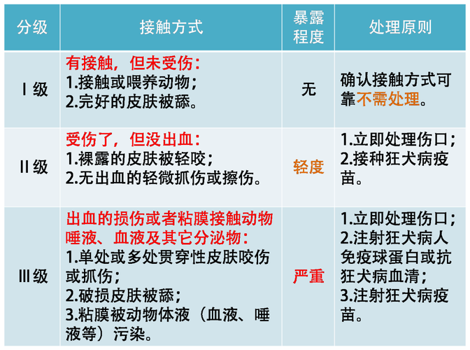 狂犬病暴露分级判定标准示意图
