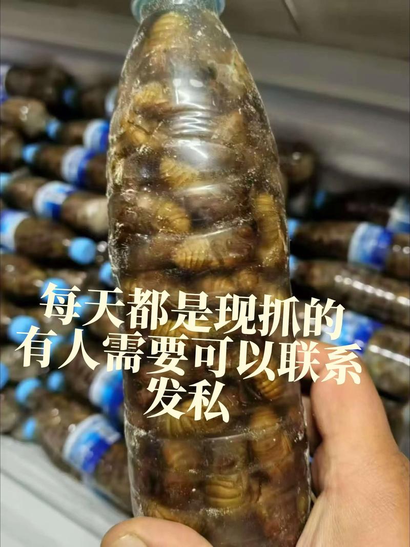 寻踪路上,别错过本地人攒的一口鲜