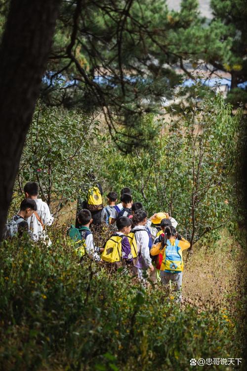 山间徒步研学途中孩子兴奋地指着树上的松鼠