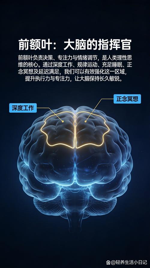 单任务与多任务大脑激活对比图