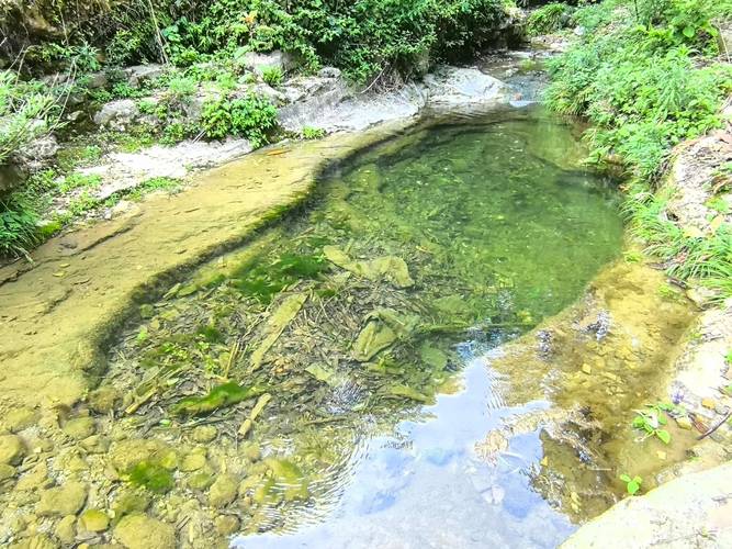 野外山林不流动死水潭实景