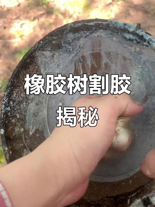 橡皮:擦得掉字迹,擦不掉那些被揉皱的时光-因为所以