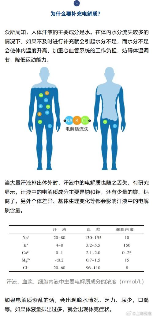 人体出汗流失电解质成分示意图