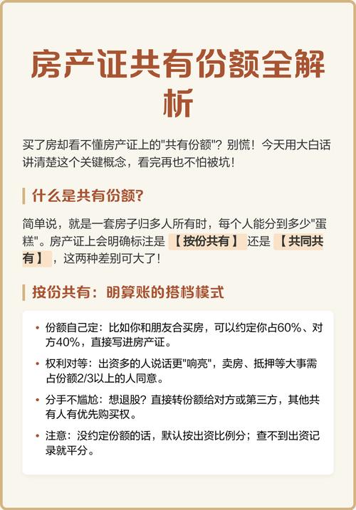 特殊共有情况的份额认定