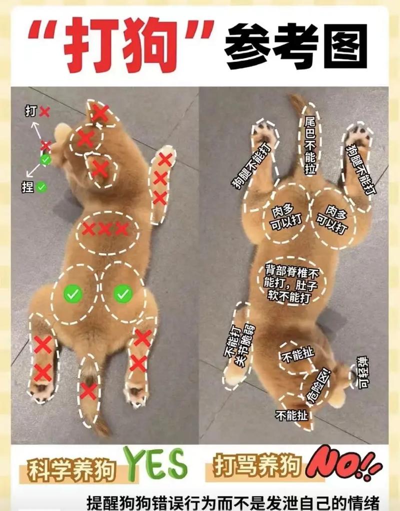 Q9: 狗狗训练中犯错能打吗?