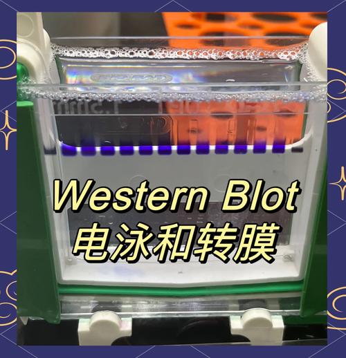 电泳涂装泳透力测试盒试样对比图