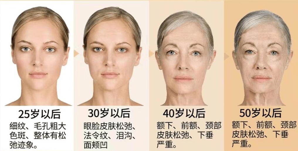四季不同状态人体面部皮肤对比图