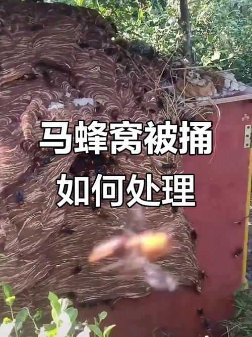 安装服务,捅了多少马蜂窝