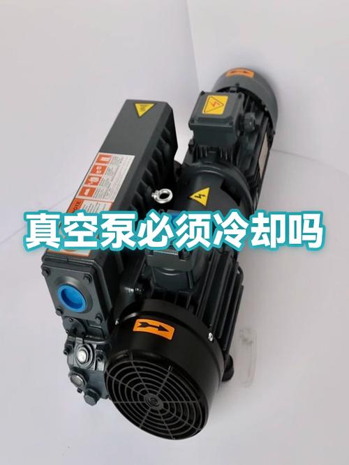 维护技巧：从滤布到真空泵，哪些细节决定寿命？