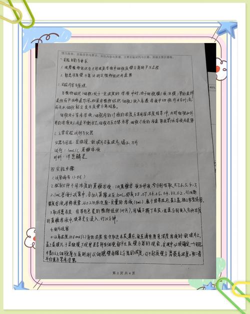 总结:西湖作为社会实验场