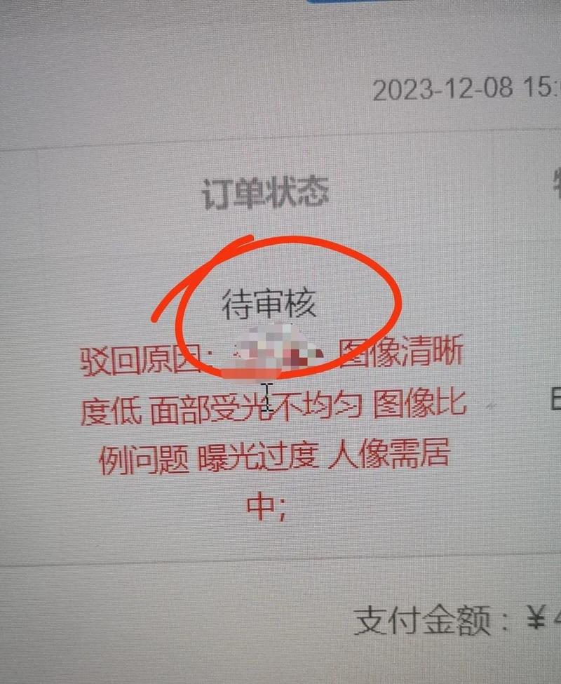 政务服务自动化审核驳回结果页面