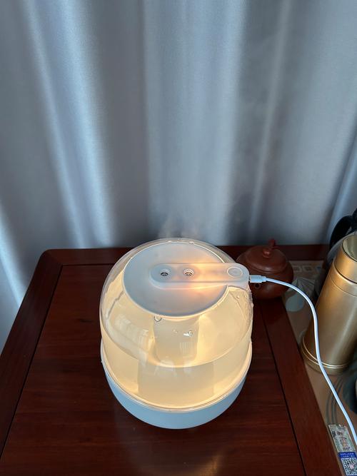 室内使用加湿器保持皮肤湿度场景