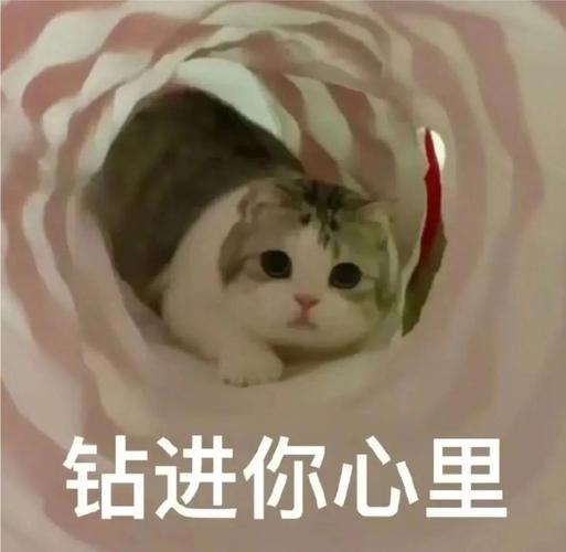它早就钻进你的日常了