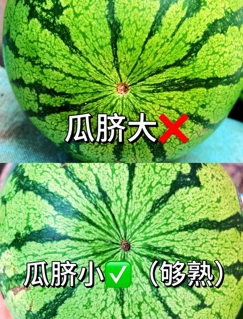 节气这东西,到底是古人的大数据还是玄学?-因为所以