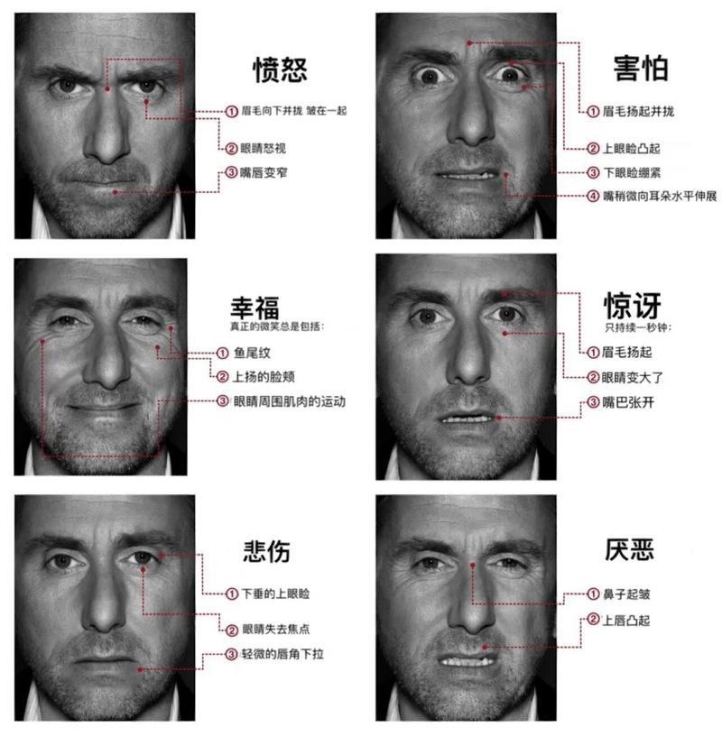 职场情绪面具与真实表情对比图