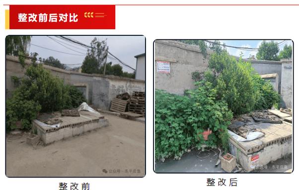 紧急避险与避险过当真实案例对比图