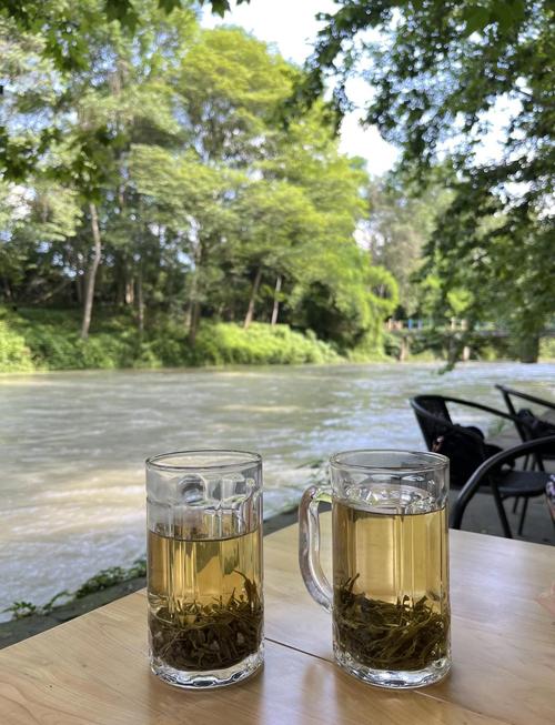 户外河边树荫下喝茶放空场景