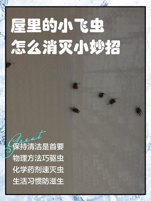 家里浮毛满天飞？这些小技巧亲测好用