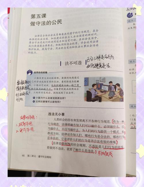法律撑的是那个理，不是那本证