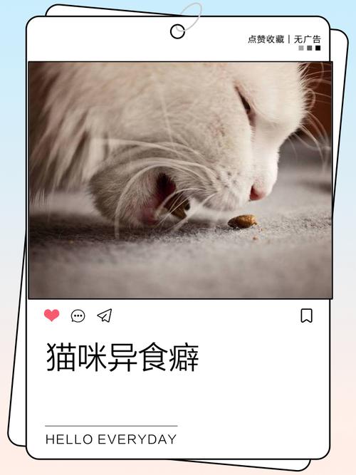 猫总啃奇怪的东西，是不是身体出问题了？