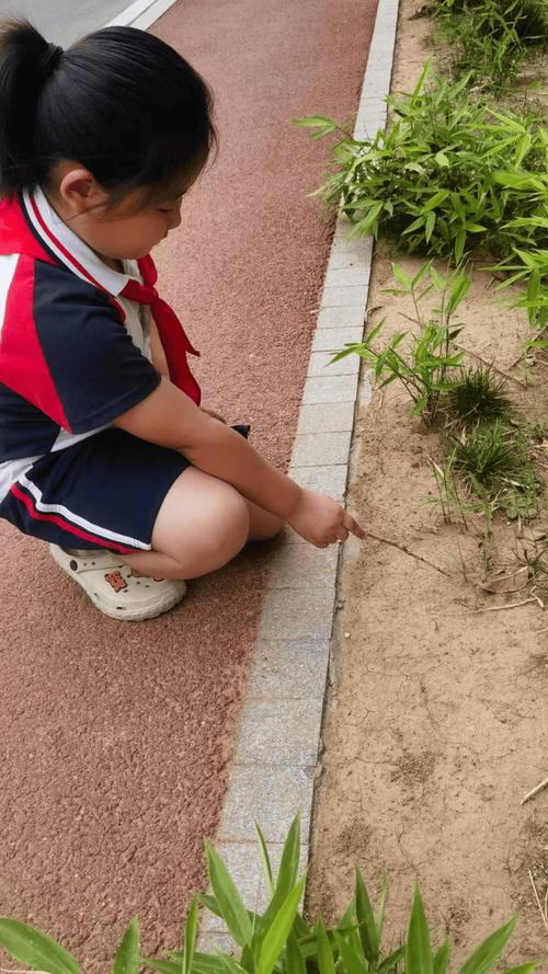 孩子趴在草地上观察蚂蚁的自然情景