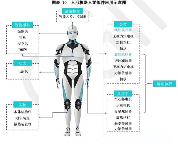 人形机器人伺服关节拆解结构图