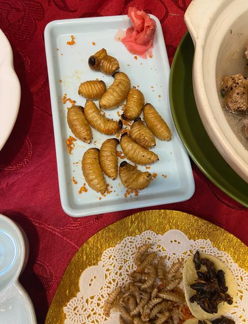 餐饮:别让虫子先吃